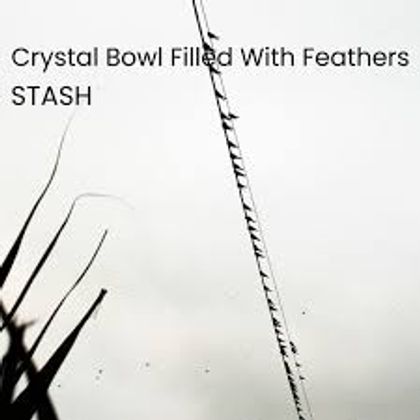 Stash - Crystal Bowl Filled With Feathers